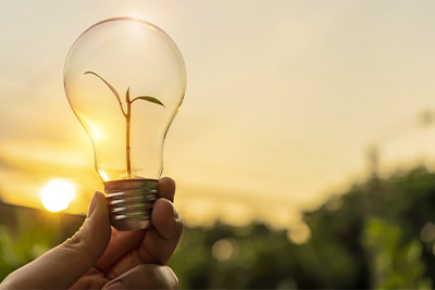 pourquoi-fournisseurs-electricite-passent-energies-vertes